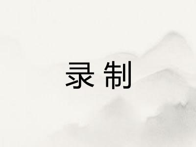录制