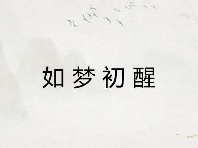 如梦初醒