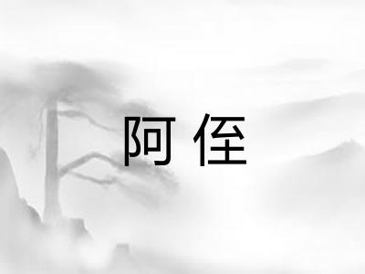 阿侄