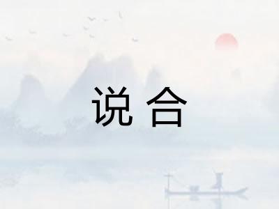 说合