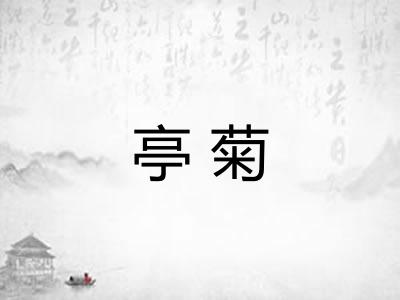 亭菊