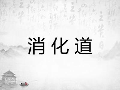 消化道