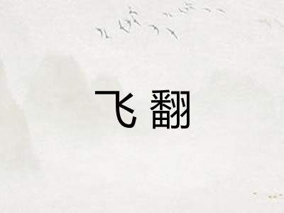 飞翻