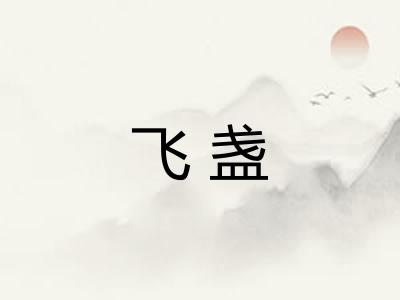 飞盏