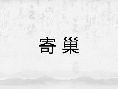 寄巢