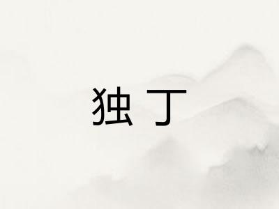 独丁