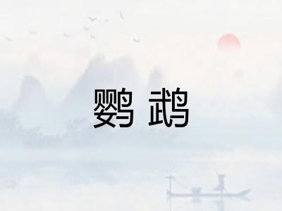 鹦鹉