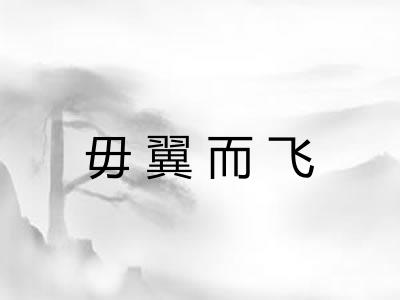 毋翼而飞