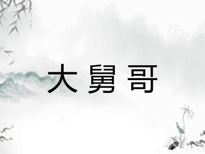 大舅哥