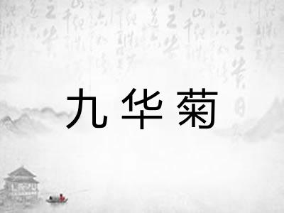 九华菊