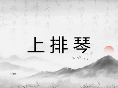 上排琴