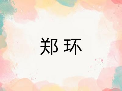 郑环