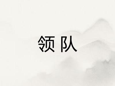 领队
