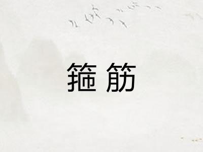 箍筋