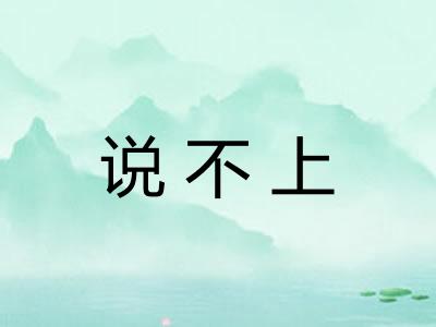 说不上