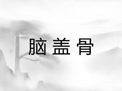 脑盖骨