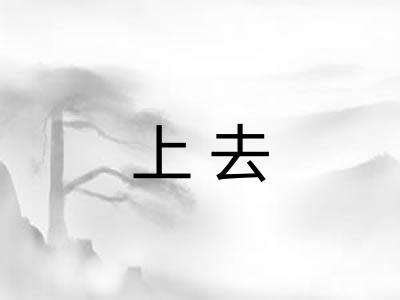 上去