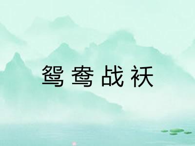 鸳鸯战袄