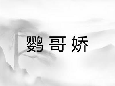 鹦哥娇