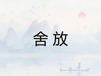 舍放