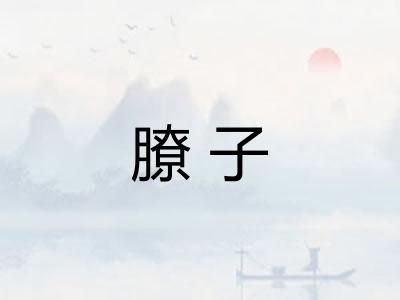 膫子