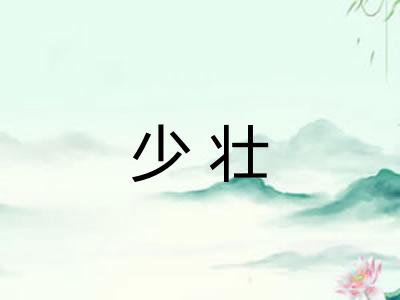 少壮