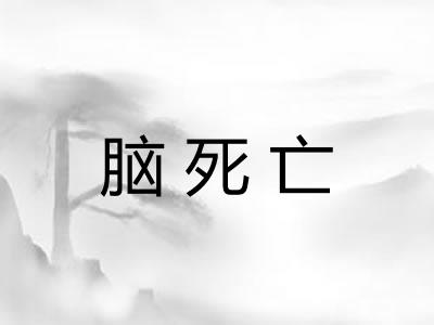 脑死亡