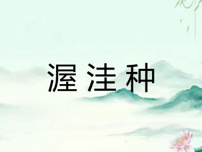 渥洼种