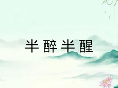 半醉半醒