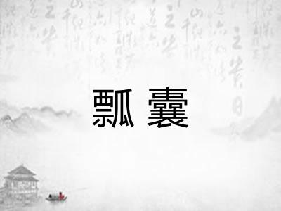 瓢囊