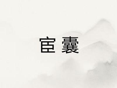 宦囊