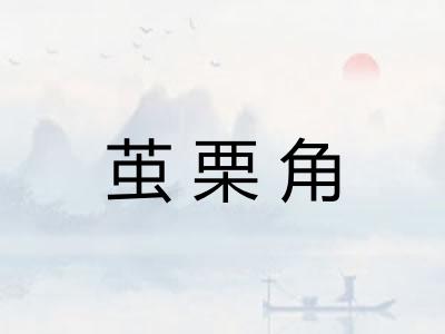 茧栗角