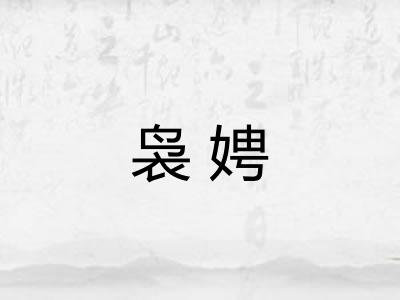 袅娉